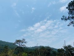 -南山植物园