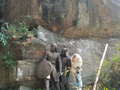 -铁山坪森林公园