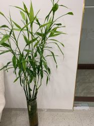 点击看大图 -苗方清颜·祛痘皮肤管理