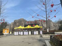 -合肥野生动物园