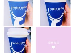 -瑞幸咖啡(北美N1购物中心店)