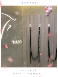 -Halo FLY运动空间