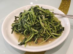 菠菜金针菇-金春禧(英雄山路旗舰店)