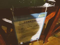 -亚马逊丛林水乐园