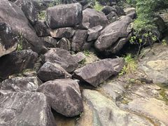 -广州白江湖森林公园