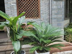 -耙猪脚(荷风香舍店)