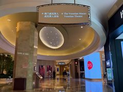 -澳门威尼斯人综合度假区