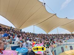 -秦皇岛乐岛海洋王国