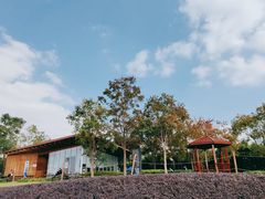 -上海山野camping·户外天幕烧烤·团建拓展营地