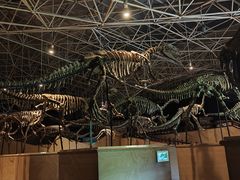 -世界恐龙谷景区