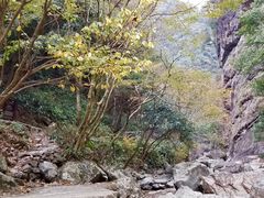 -太湖源风景区