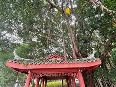 -西湖公园(鼓楼区)