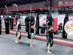 -TFC 纯泰拳馆MuayThai