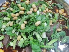 -大邑李记肥肠血旺