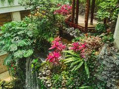 -广州白天鹅宾馆