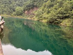 -大奇山国家森林公园