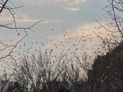 -眉山湿地公园(东坡区)