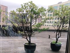 -复旦大学附属华山医院(总院)