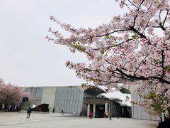 -龙美术馆(西岸馆)
