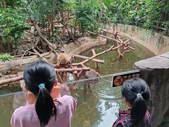 -长鹿旅游休博园