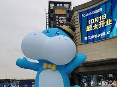 -盒马X会员店(上海森兰商都店)