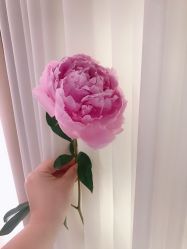 -CHIC 小资名妆