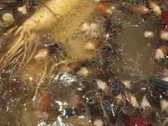 -千岛蚝高压锅生蚝·人参火锅(白云万达店)