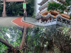 -水濂山森林公园