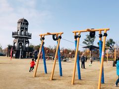 -上海长兴岛郊野公园