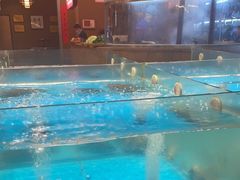 -耕渔小院·湖南鱼鲜(望城店)