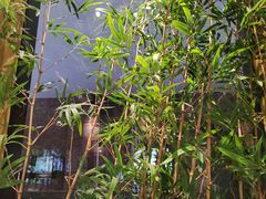 -牛村来人潮汕牛肉火锅(西单店)