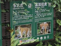 -海南热带野生动植物园