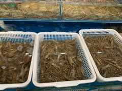-京港生鲜(四道口店)