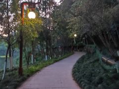 -重庆彩云湖湿地公园