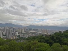 -金鸡山公园