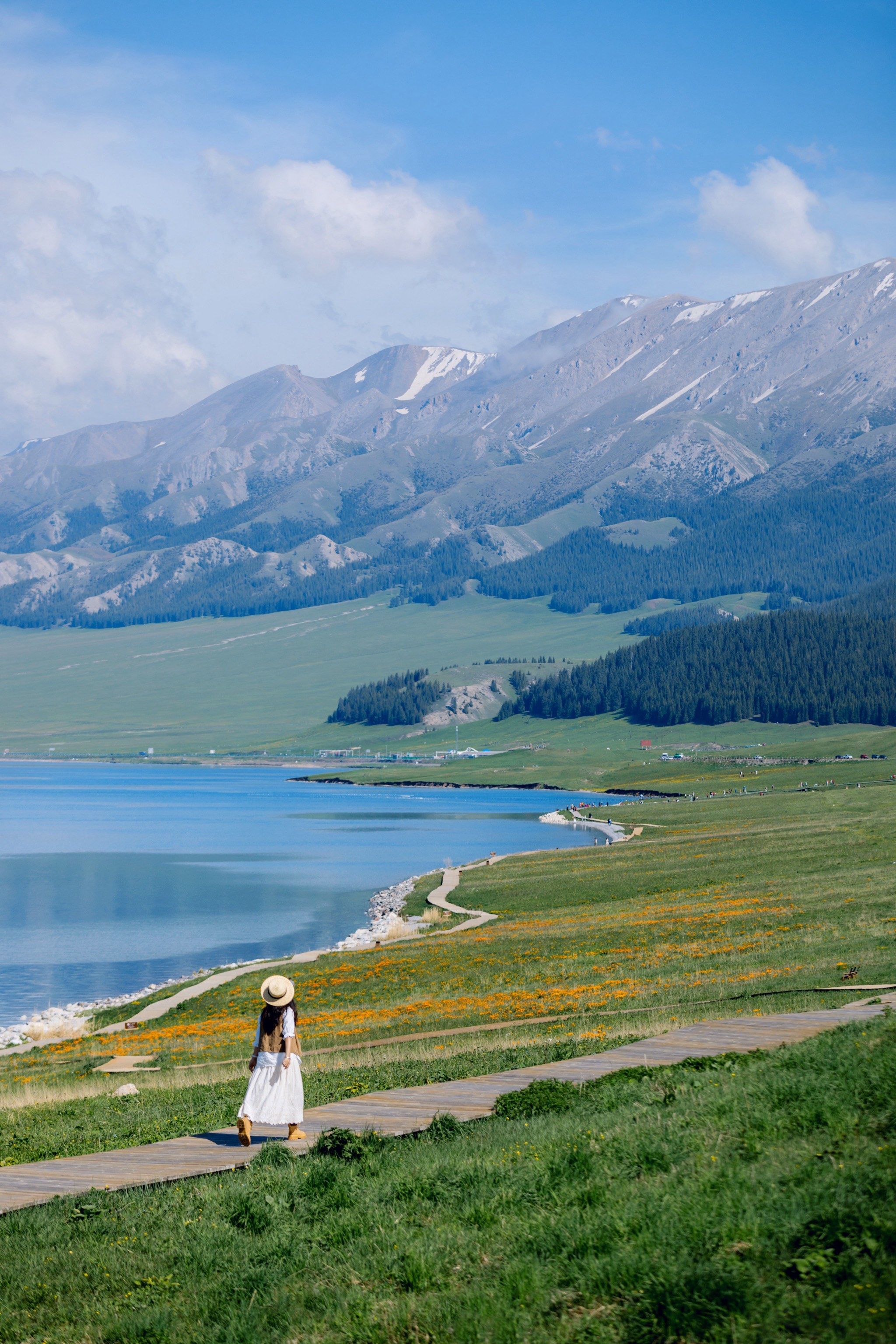 自由的生命力,新疆这溢出屏幕的松弛感