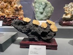 -湖南省地质博物馆