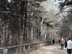 -棋盘山风景区
