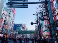 -秋叶原电器街