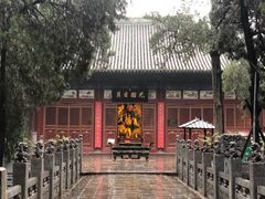 -关林