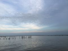 -东寨港红树林旅游区