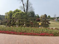 -铁山坪森林公园