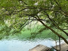 -婺源风景区