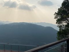 -铁山坪森林公园