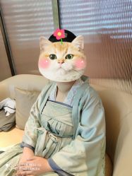 -盘子女人坊古装写真摄影(南京总店)