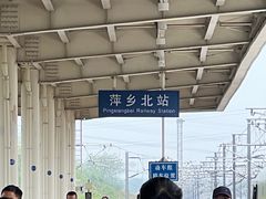 -老萍巷•莲花血鸭(楚萍店)