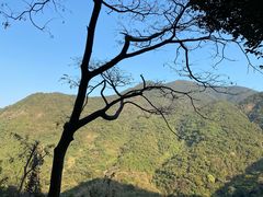 -梧桐山风景名胜区