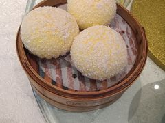 -皇马假日醉海南大酒店·假日一品派茶楼(秀英店)