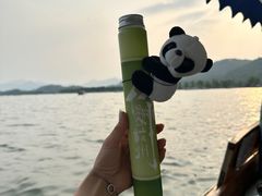 -西湖游船
