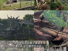 -上海野生动物园